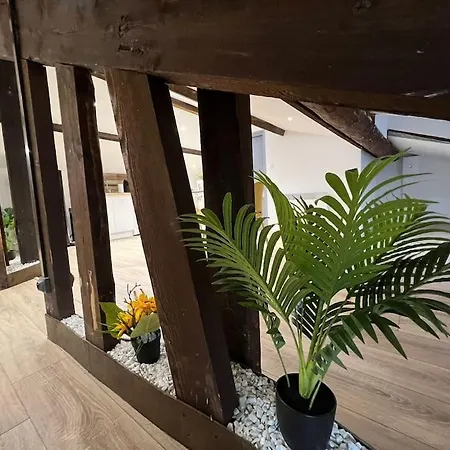 Kiss Cool - Loft En Centre Ville Saint-Dizier Exterior photo