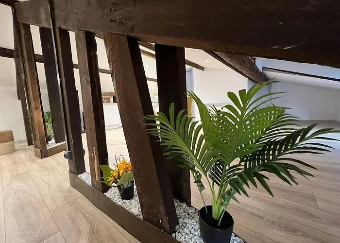Kiss Cool - Loft En Centre Ville
