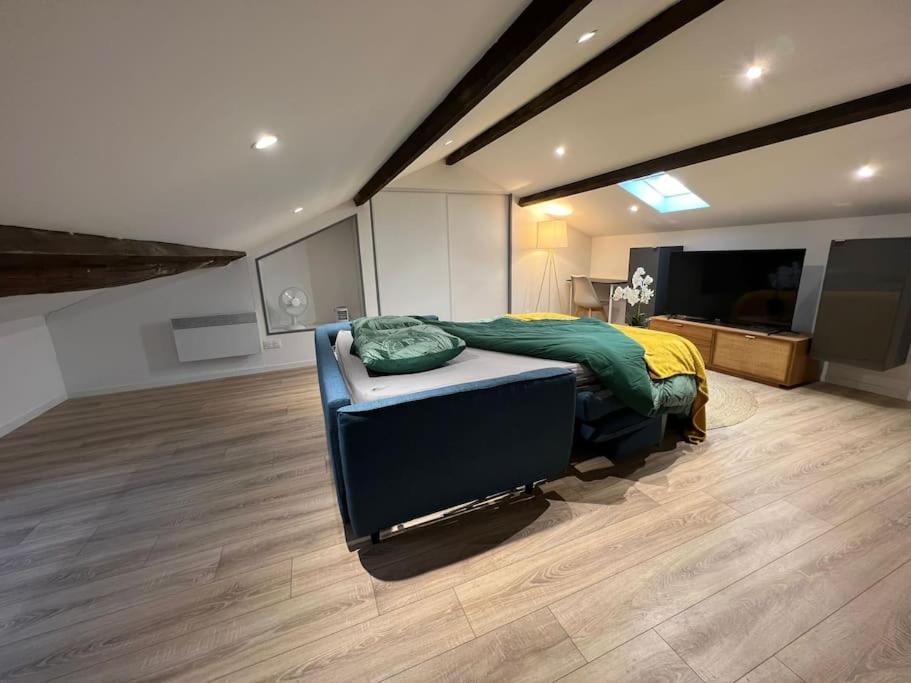 Kiss Cool - Loft En Centre * Saint-Dizier