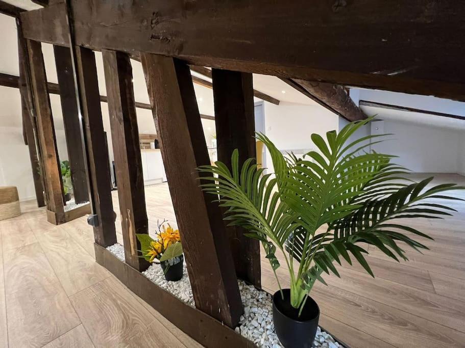 Kiss Cool - Loft En Centre Apartment